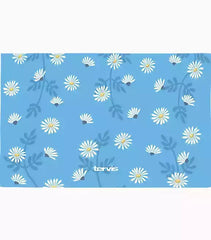 Skyfall Daisies